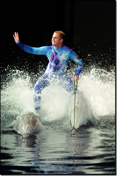 Liz 2.0: Dolphin Tales!